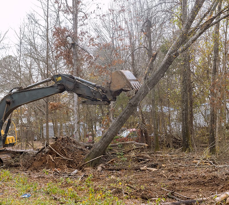 Skid Steer clearing land