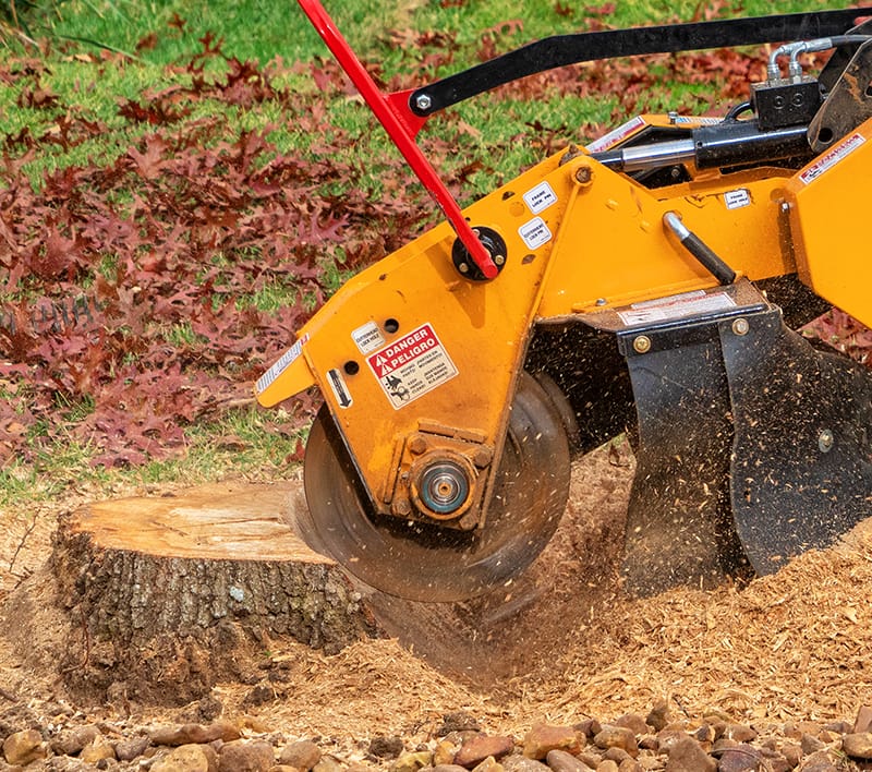 Close up of a stump grinder removing a stump